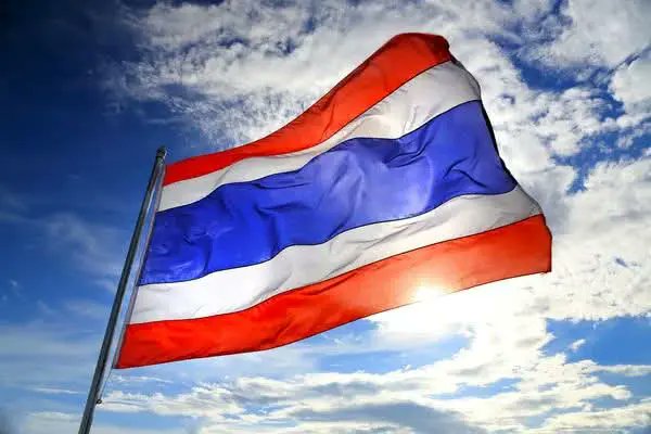 มนุษย์ค้างคาว🦇 tweet media
