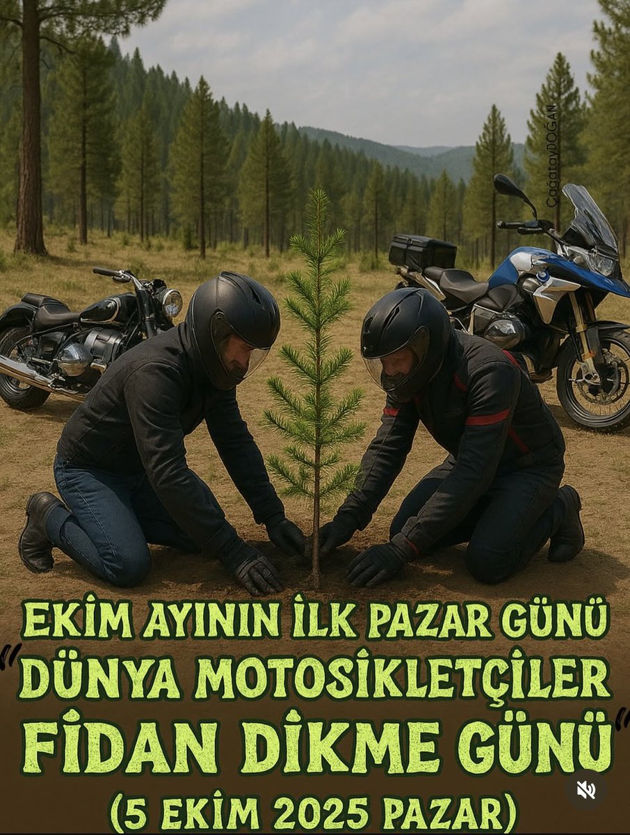 Bize yanan yerler için tekrar ağaç dikme izni verilsin hemde yanması zor olan meyve ağaçlarından dikelim 
#ağaç
#fidan