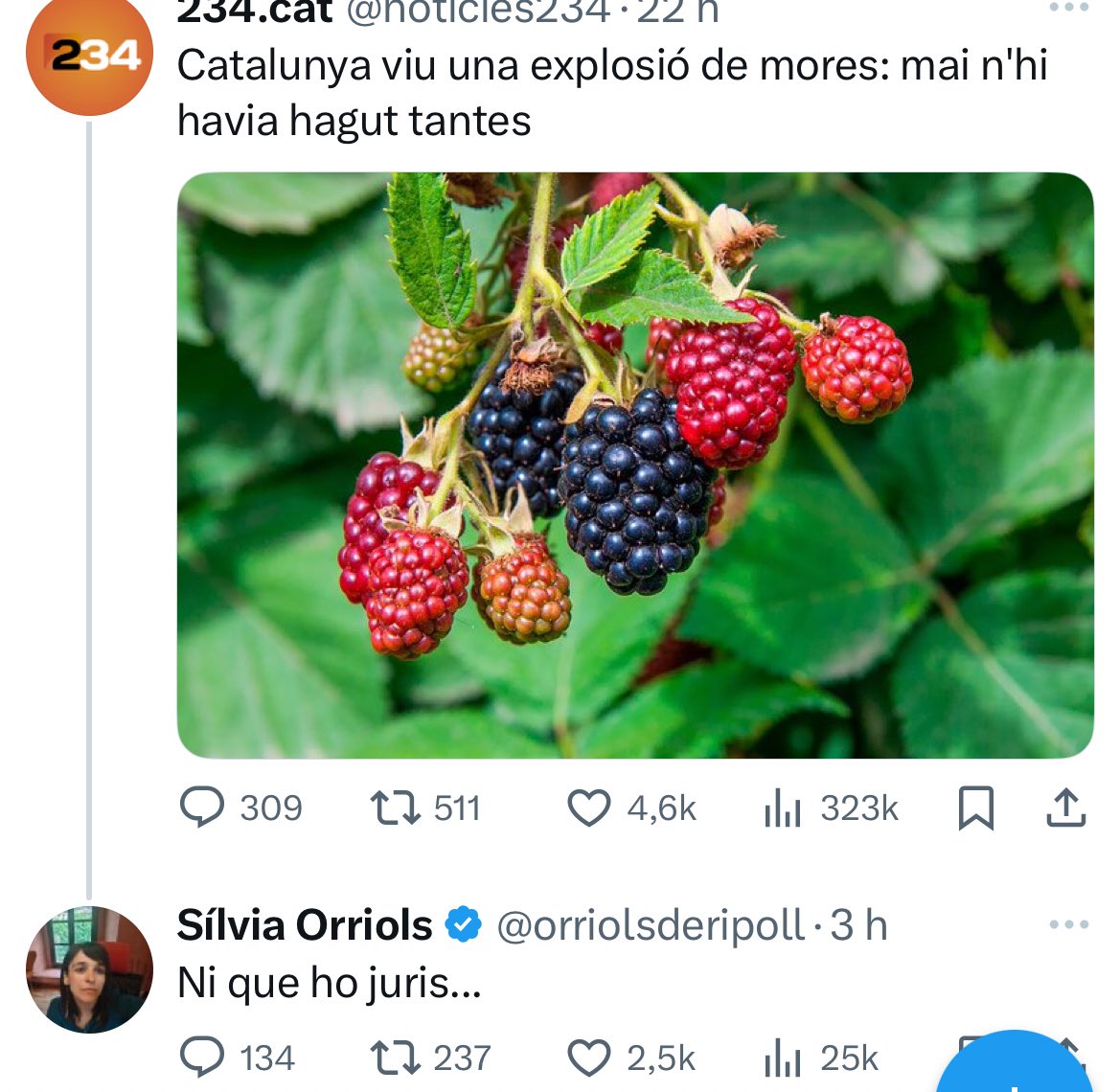 però què acabo de llegir