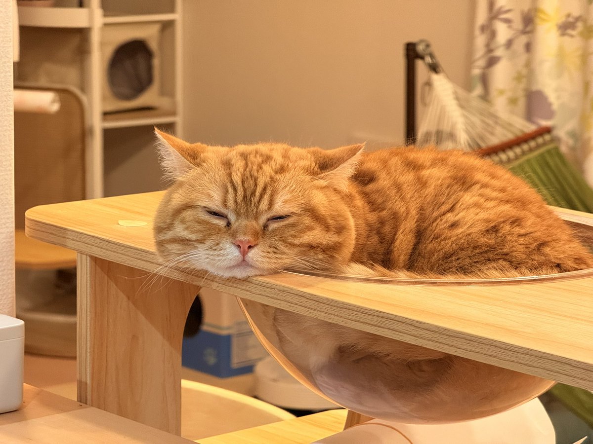 22:22に可愛いの撮れた