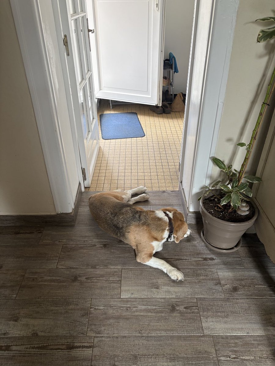 Nobody gets past me 😂🐾