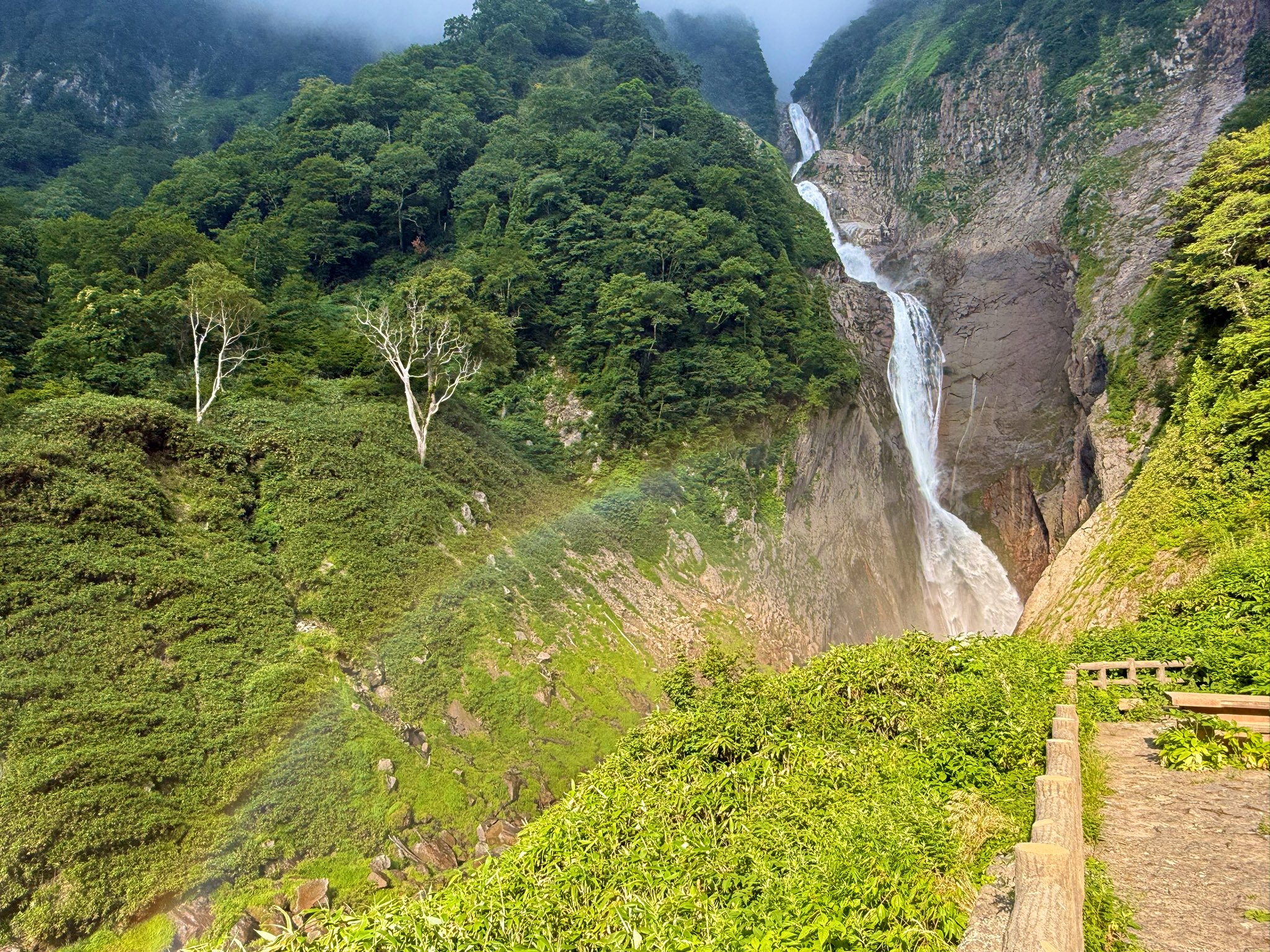 中村左洲　 滝の風景 中村左洲 滝の風景 絵画