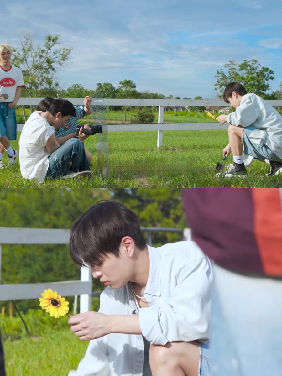 🪏🌻🐶☀️☁️☘️🍀🪴