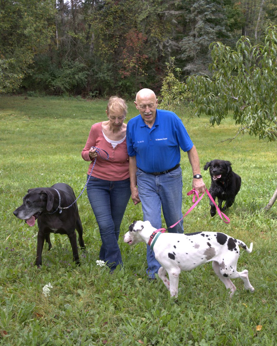 Doesn’t matter what they’re mixed with, a good dog is a good dog! #NationalMuttDay
