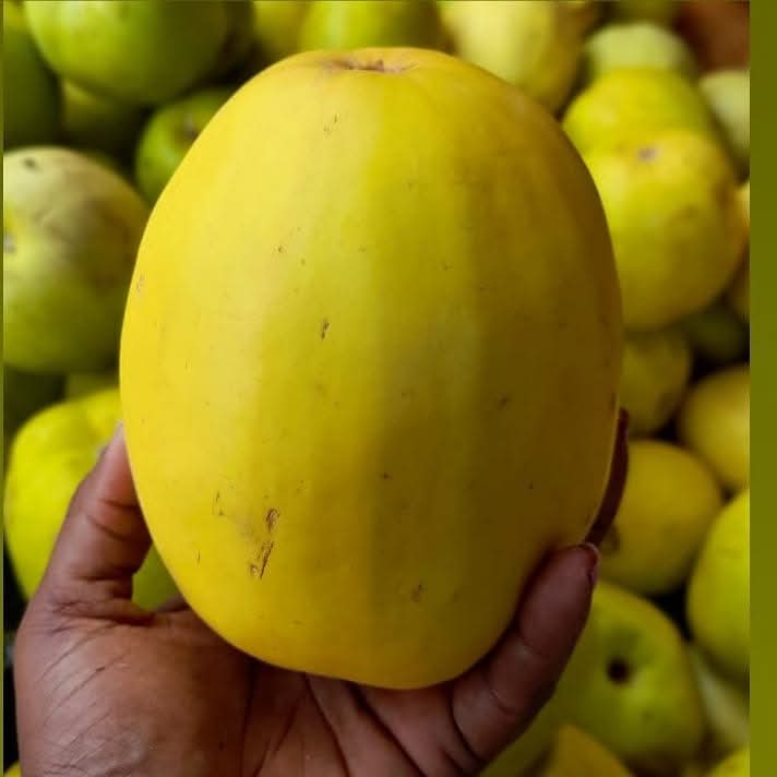 AFinnian's tweet photo. Don't forget that I sell all kinds of Exotic Fruits....

Eat Healthy! Stay Healthy!!!! https://t.co/kPaZ6Q5ibm