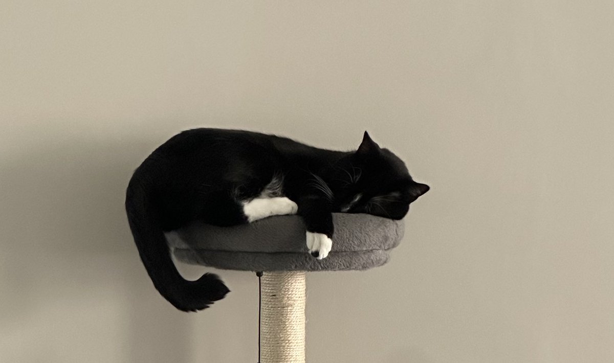 101.5 LITE FM tweet media