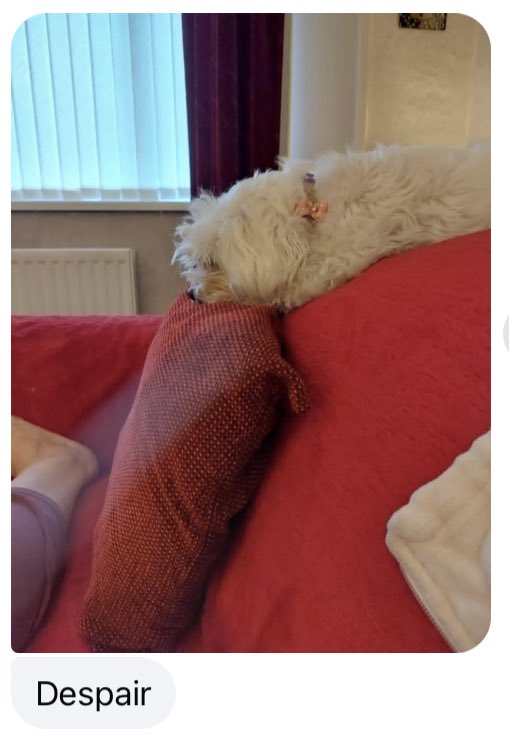 VisualSounds1👽🌸🎃 tweet media