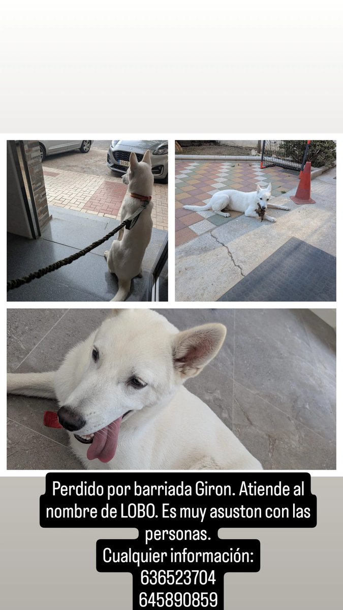 A ver si X hace su magia 🙏🏻