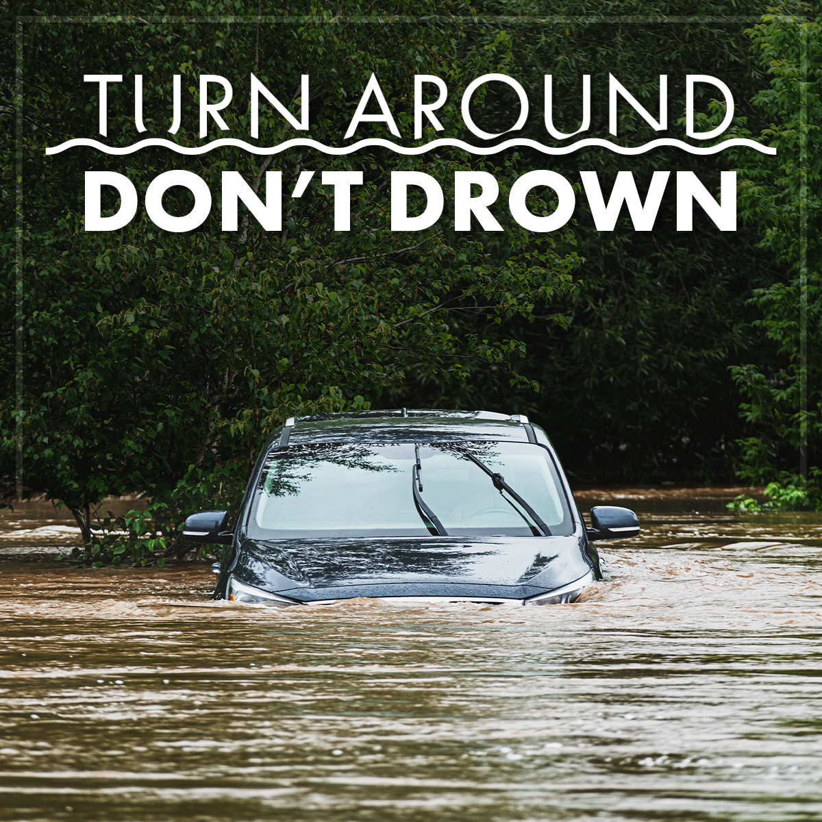 How Much Water is Needed to Carry a Car Away: Shocking Facts Revealed