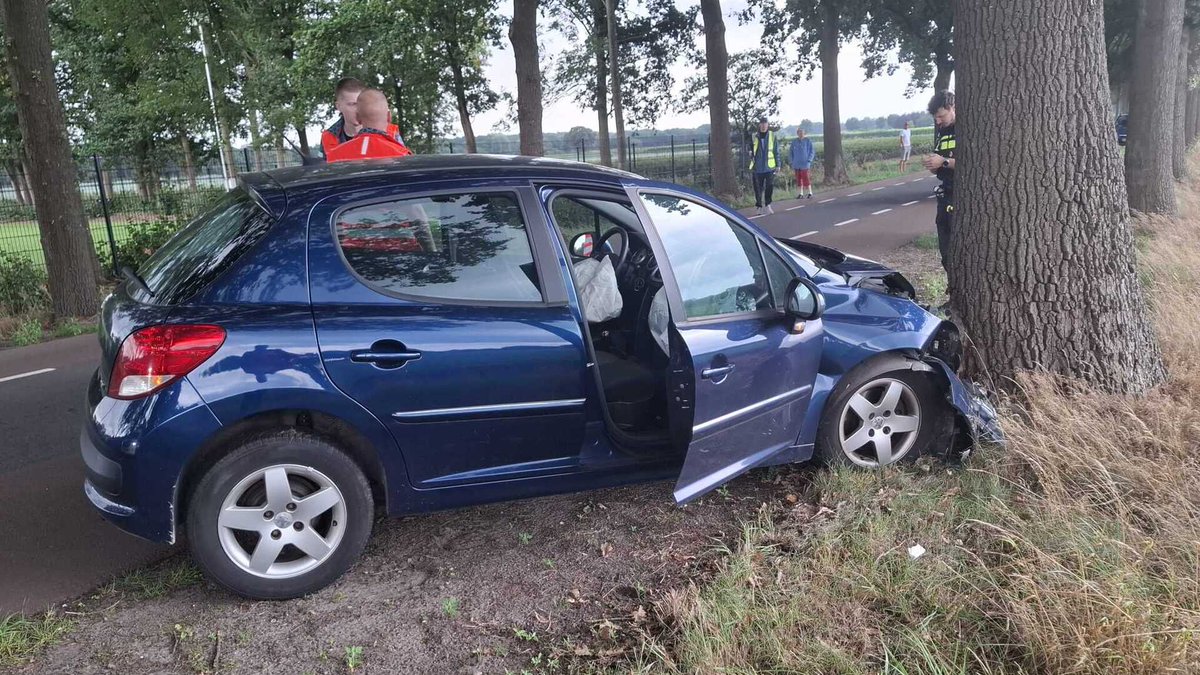 Auto knalt tegen boom op Kegelaar in Kaatsheuvel