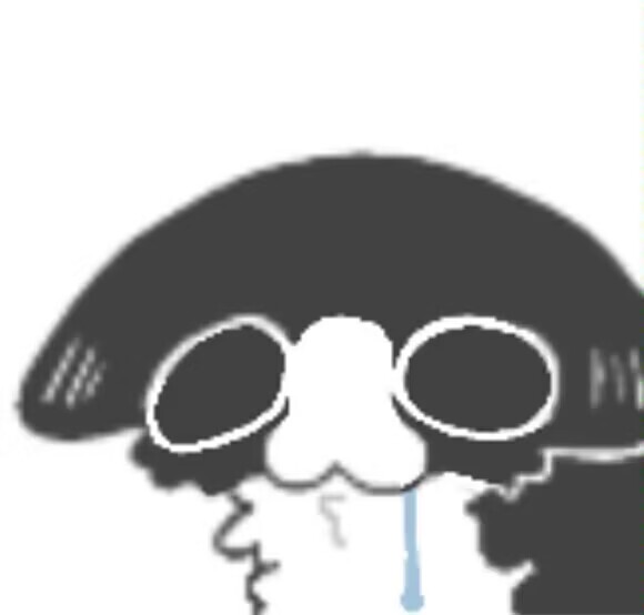 有些委托画完之后在想 如果金主约了但是不用的话那我开委托是否有意义