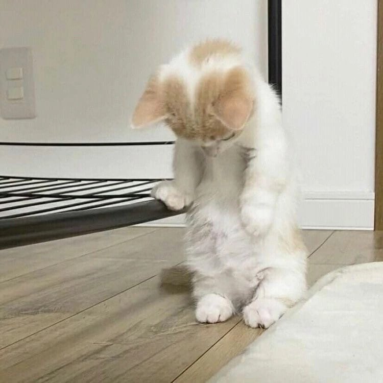 หนุมะมีพุงน้า