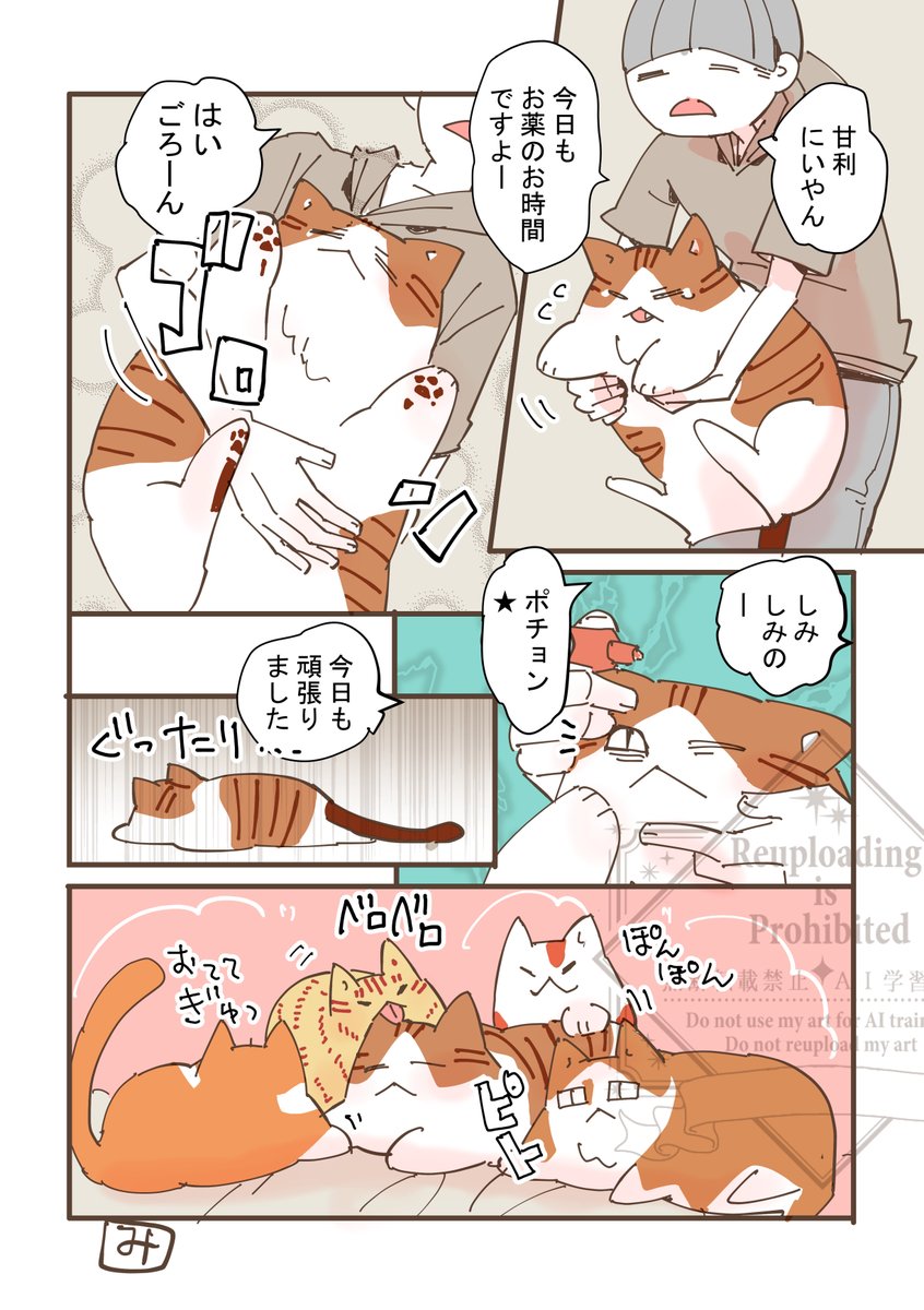 みねこページ 楽天市場】猫 置物 「 ひみつの箱 ミケ 」 子ねこ ベニーズ