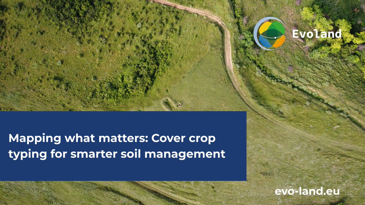 🌾 Mapping what matters for #SustainableAgriculture: #EvoLand’s C4 prototype detects where and which #CoverCrops are used, supporting #SoilHealth, biodiversity &amp; CAP compliance.

✔️ 80.7% accuracy
✔️ Sentinel-2 NDVI
✔️ Grass vs leaf-rich types

🔗 evo-land.eu/mapping-what-m…

#CLMS