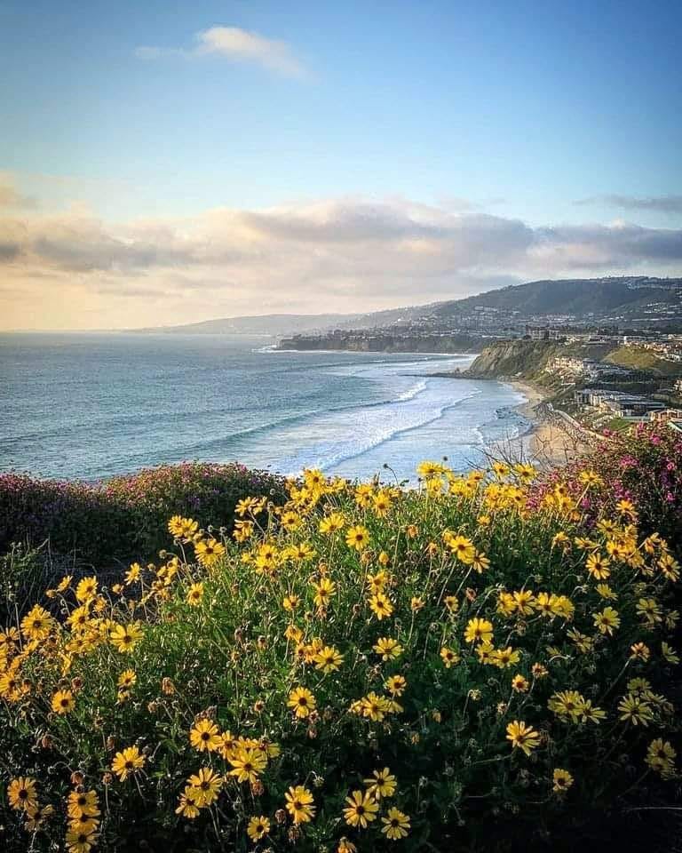 California, USA
