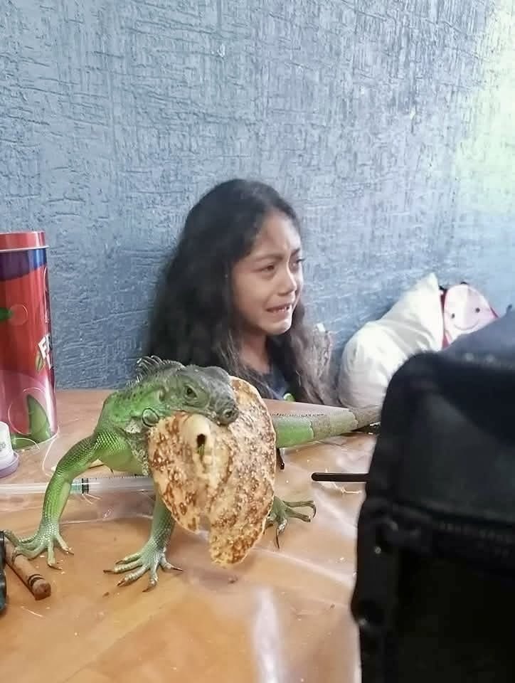 So, how was your breakfast today?