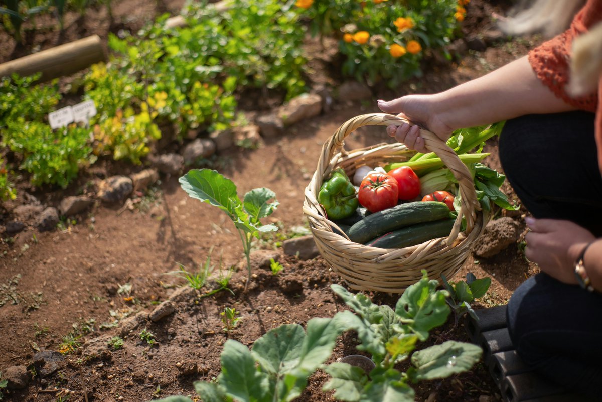 APC Microbiome Ireland (@pharmabiotic) on Twitter photo New paper out today in <a href="/FrontiersIn/">Frontiers</a>.
<a href="/Paula_FerGo/">Paula Fernández Gómez</a> & colleagues have mapped how microbes underpin healthy food systems—and how we can stop their decline <a href="/pauldcotter/">Paul Cotter</a> <a href="/OrlaOS/">Prof. Orla O’Sullivan</a>
Read more here: bit.ly/3HeubSF New paper out today in <a href="/FrontiersIn/">Frontiers</a>.
<a href="/Paula_FerGo/">Paula Fernández Gómez</a> & colleagues have mapped how microbes underpin healthy food systems—and how we can stop their decline <a href="/pauldcotter/">Paul Cotter</a> <a href="/OrlaOS/">Prof. Orla O’Sullivan</a>
Read more here: bit.ly/3HeubSF
