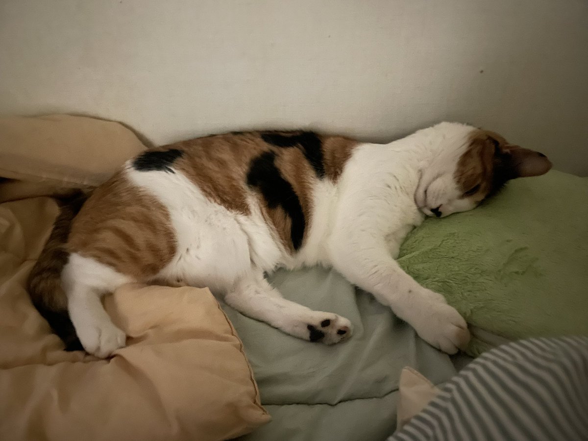 왜케 귀엽냐 너는