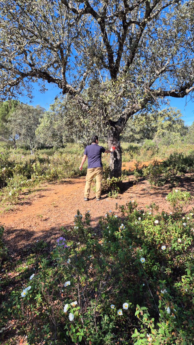 Progetto Life Fagesos tweet media