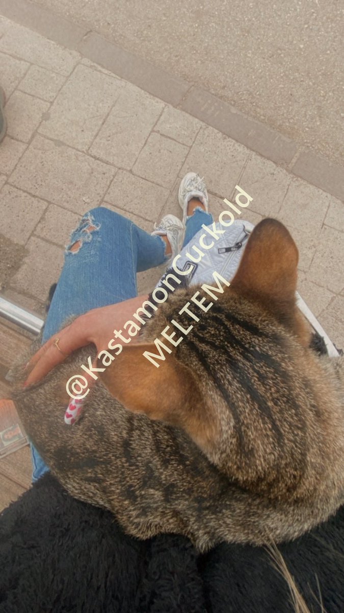 Kastamonu Cuckold Çift Meltem (@kastamoncuckold) on Twitter photo 