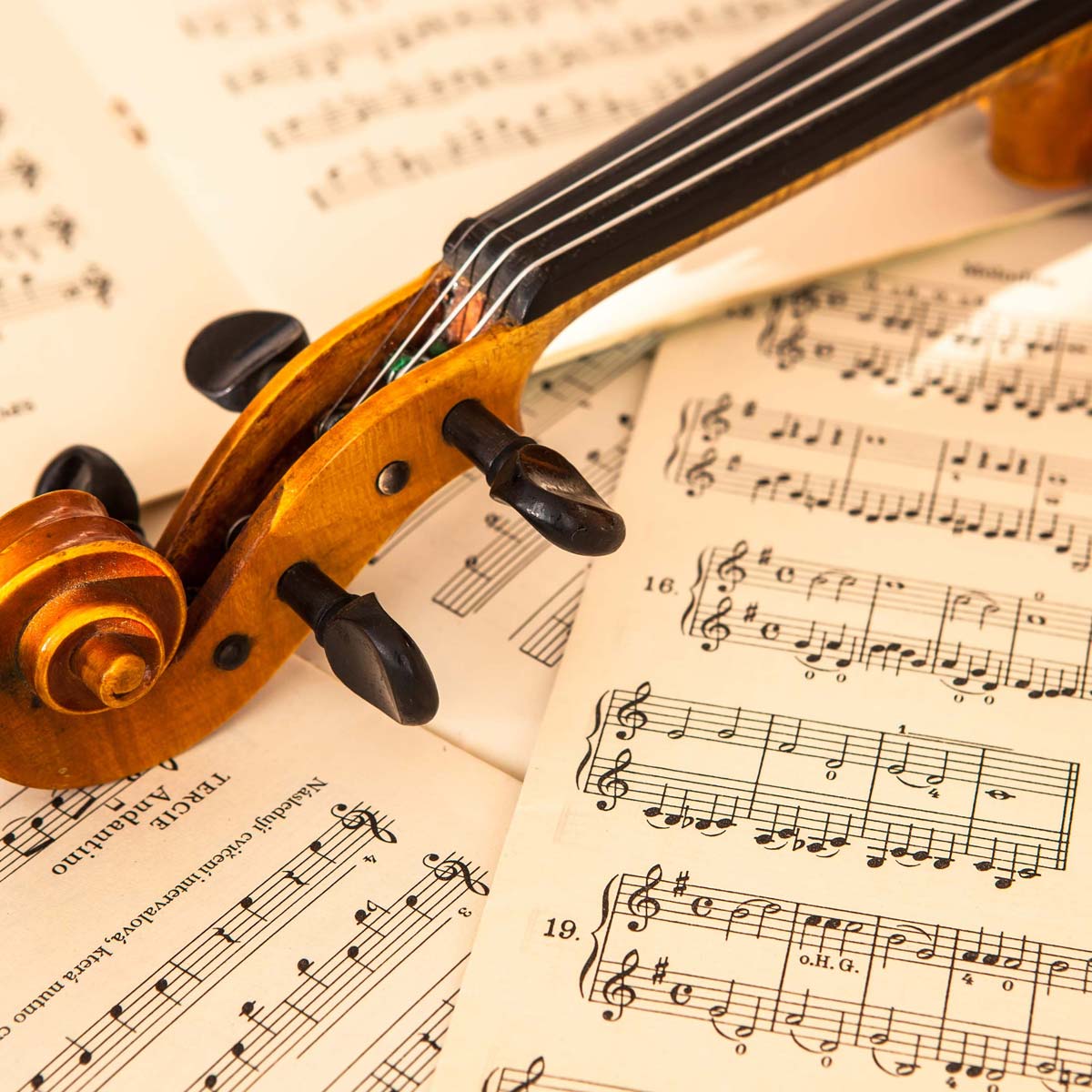 wejam_int's tweet photo. La beauté de la musique classique réside dans sa sophistication, ses harmonies complexes et l'émotion brute engendrée par chaque note. Une symphonie peut vous transporter à une autre époque, un solo de piano peut être une conversation silencieuse avec l'âme. #classicalmusic ??? https://t.co/NBHFCMGRre