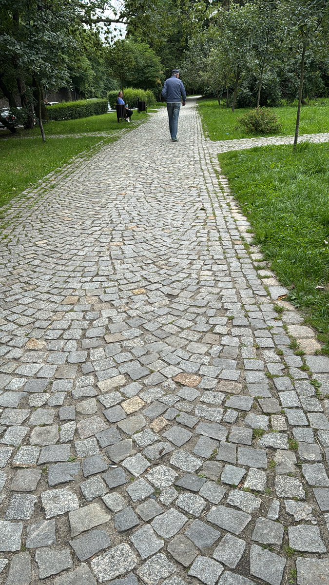 Why can Toronto parks not have a higher standards for our paths? It’s always asphalt.