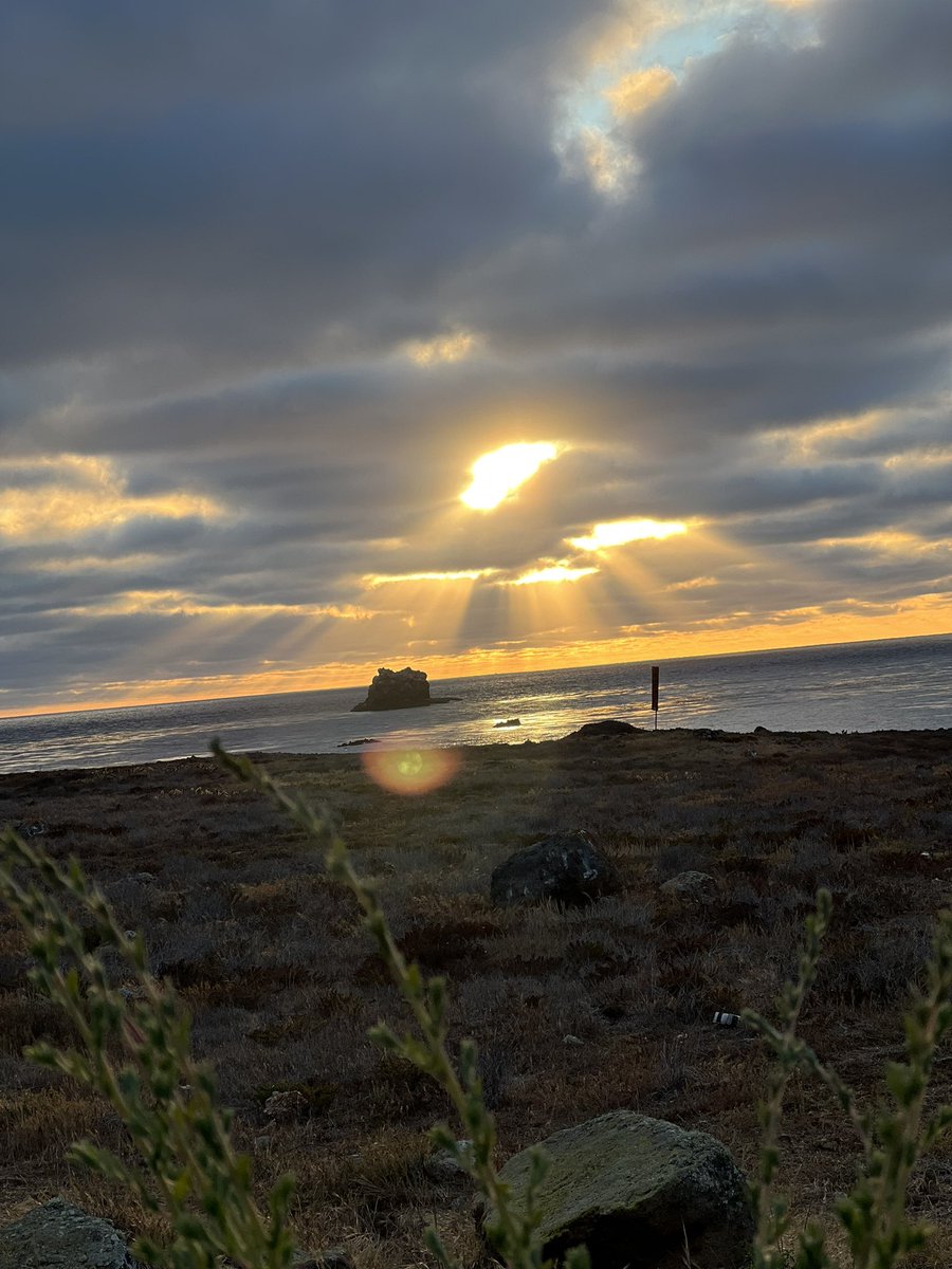 “Take zinc” sorry I’m taking in the breath taking beauty of the sea