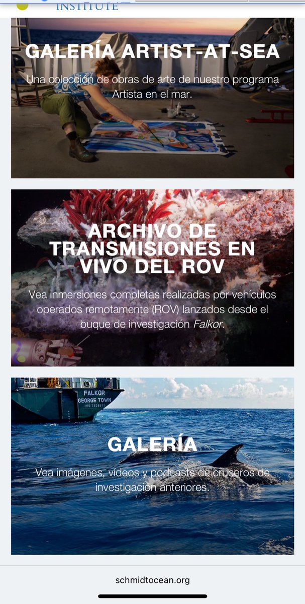 arayann19's tweet image. Dato no menor en la web schmidtocean.org de #expedicion del #CONICET tenes una sección de galerías con imágenes espectaculares para fondos de PC. cel etc.