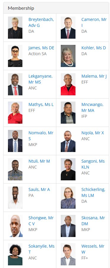 MDNnewss's tweet photo. The following members have been nominated by their respective parties to serve on the Ad Hoc Committee established to investigate the allegations made by Lieutenant General Nhlanhla Mkhwanazi. https://t.co/apbS1aOM8b