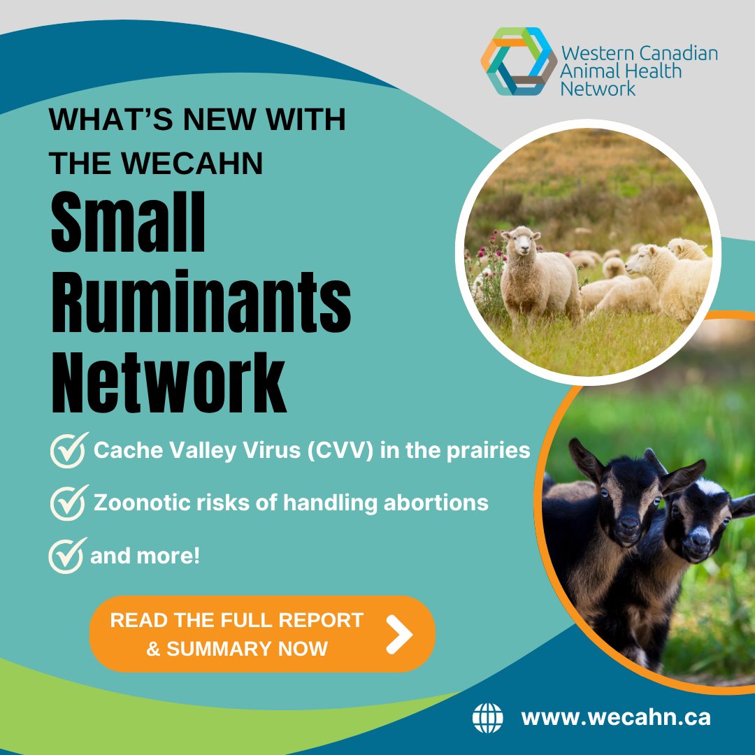 WesternCanadianAnimalHealthNetwork tweet media