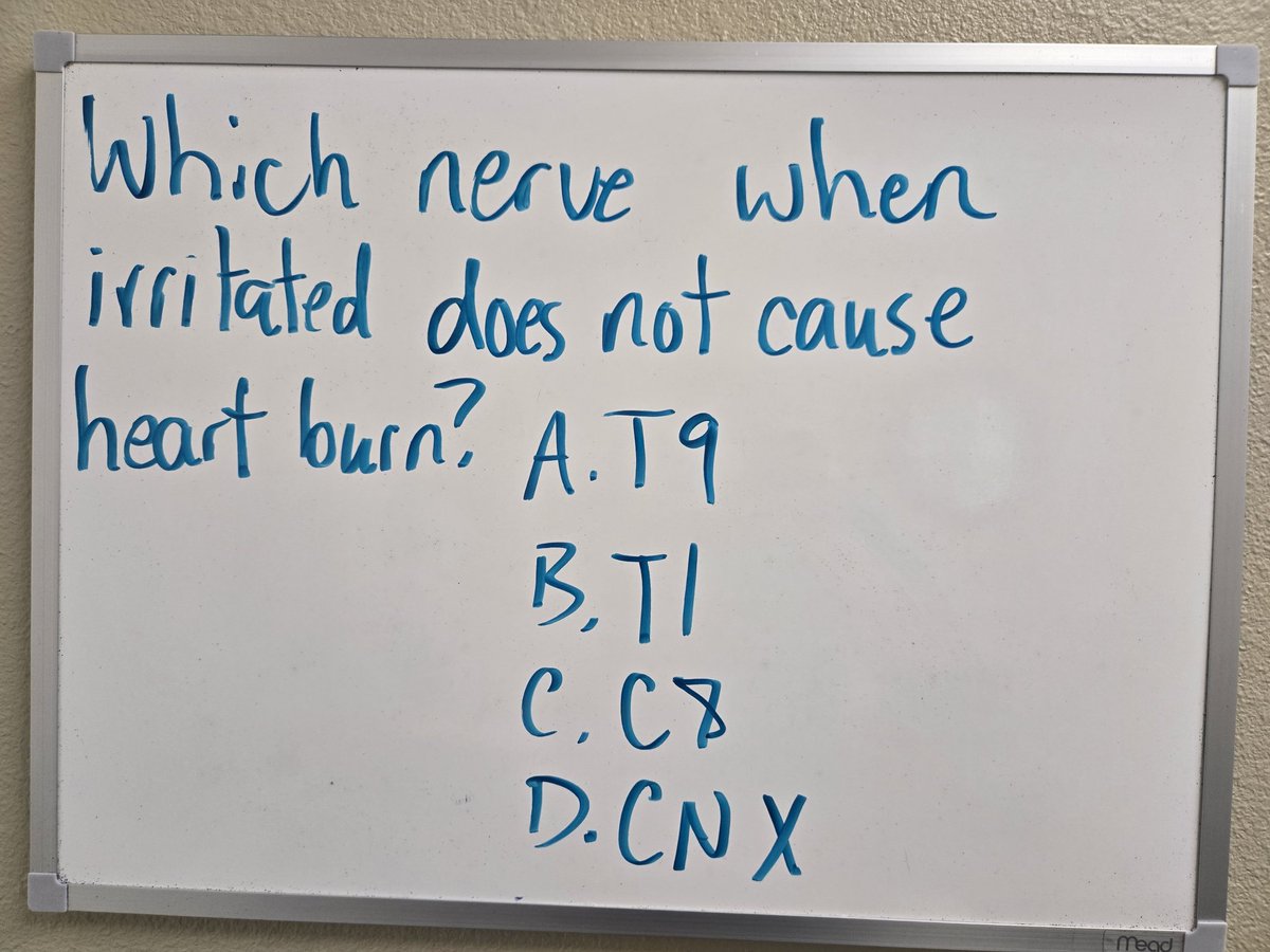 Happy Thursday! I'll be in from 8-6 with a lunch break from 12:30-2.