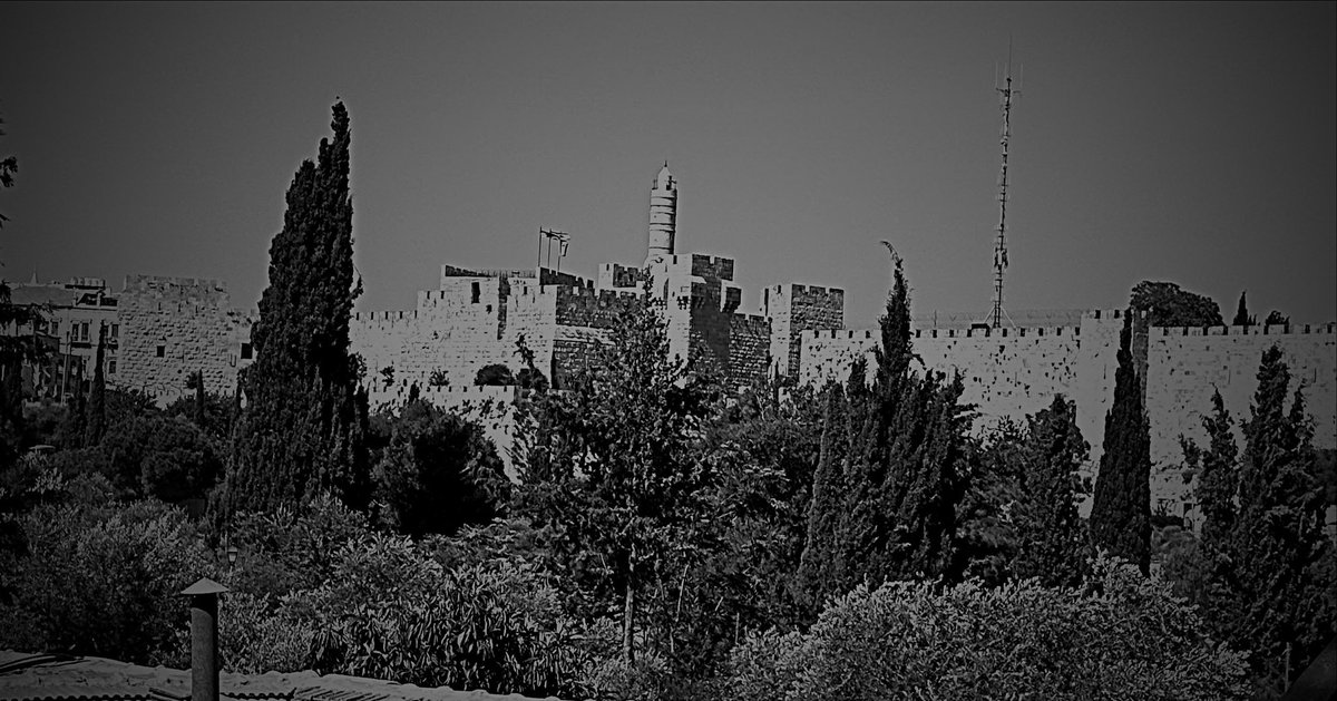 Solomonsimon's tweet image. Welcome back to The Kosher Terroir – The somber days leading to Tisha B'Av bring us face-to-face with profound loss and spiritual yearning. Why do we refrain from wine during this period of mourning? The answer lies not just in ancient texts but in the very soil of Jewish history…