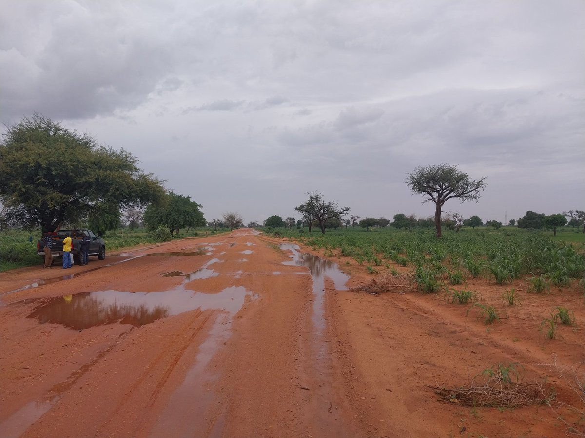 AgenceHda's tweet photo. 35 CSI UNICEF-LAFIA IAYALI_LOT1 (8 sites) - Tessaoua (4) Gazawa (2) Aguié (2).
Collecte de données pour les études complémentaires https://t.co/4aSMsSgUgE