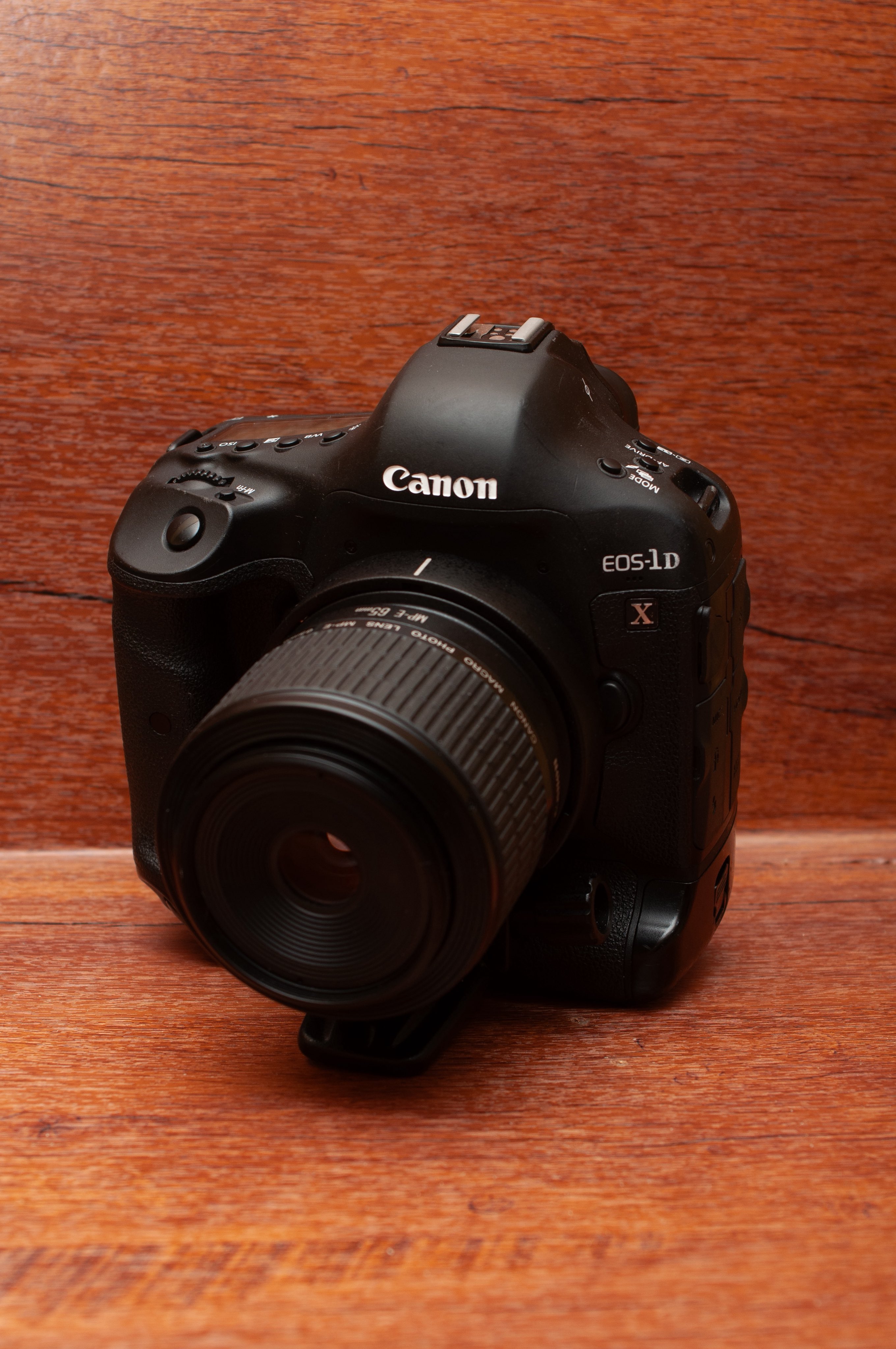 しゅがー (@_Sugar_photo) / X