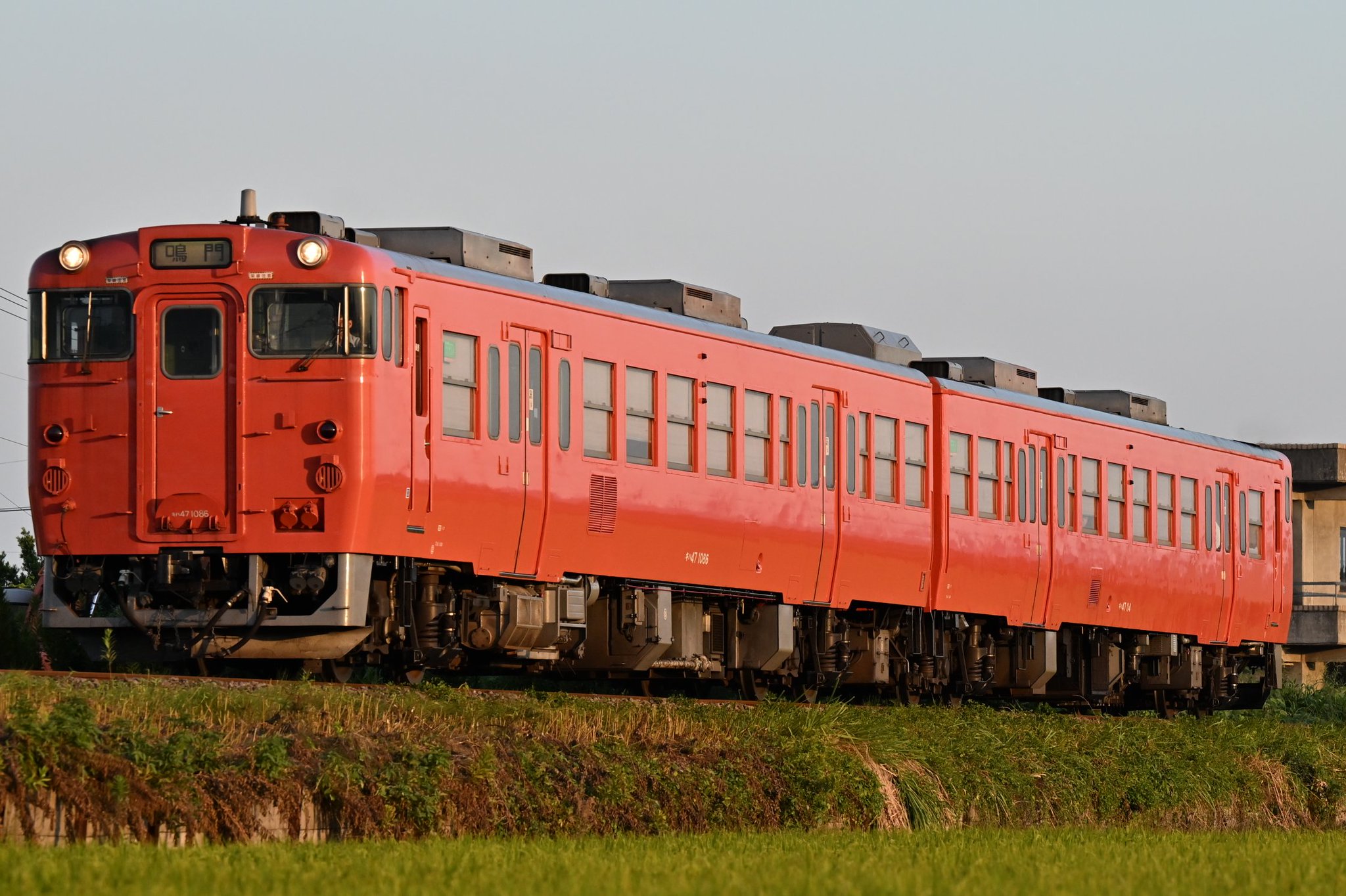 極上　恵比寿大黒　1810g（台込みの重さ） トニオ　東さ7-0523⭐︎2F 極上恵比寿大黒1810g（台込みの重さ） トニオ東さ7-0523⭐︎2F