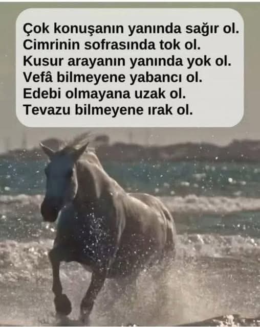 Güzel bir akşam geçirmeniz dileğiyle....

#akşam #Persembe #temmuz