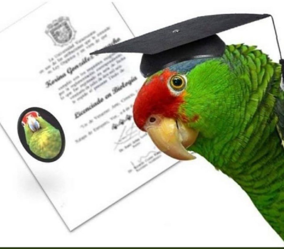 Loro aprende a decir "No somos iguales" y lo vuelven consejero jurídico de la presidencia.