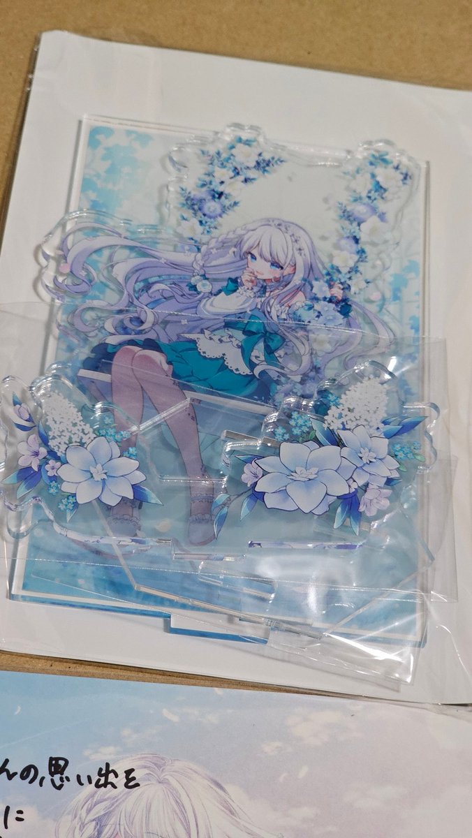 せのここみてみて