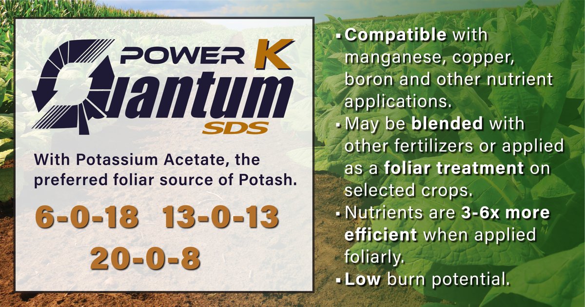CoastalAgro's tweet photo. FINISH STRONG! Quantum Power K formulations deliver Nitrogen and Potash providing an opportunity to manage late season nitrogen while boosting potassium levels. Potassium is crucial for plants, especially during late-season growth and development.  https://t.co/B8xe0uAKVp https://t.co/yLPjgOjr4Q