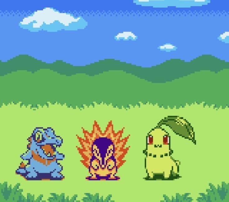 Chose your starter!