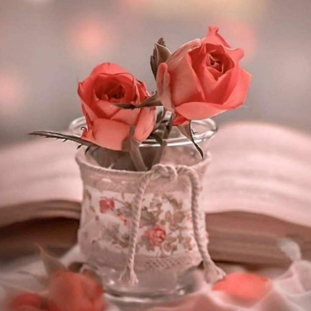 لا تبحث عمن يملأ وقتك إبحث عمن يُشبه قلبك حين يسڪنه الهدوء💕