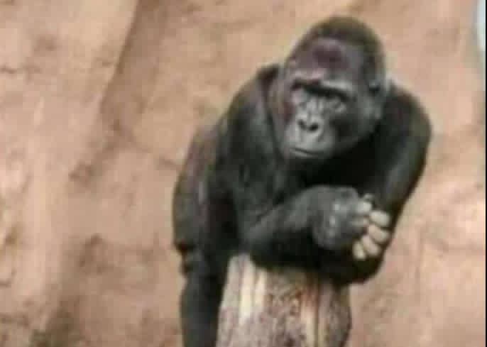 Kati mbu evn men who support arsenal are asking for jerseys from ther girlfriends😂😂😂