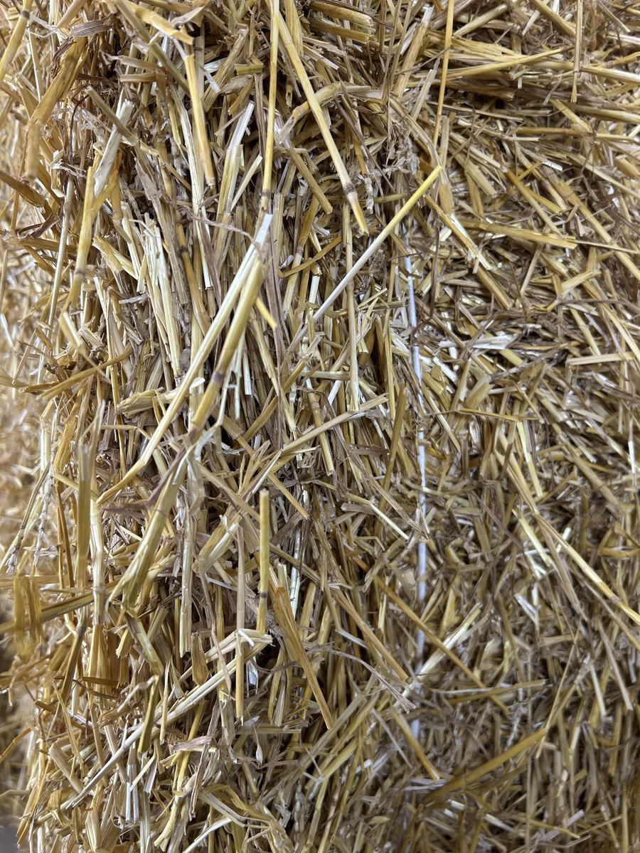 J’ai de la paille de blé à vendre, champs propres,7 pieds, rotocut 9 couteaux.
60$ la balle