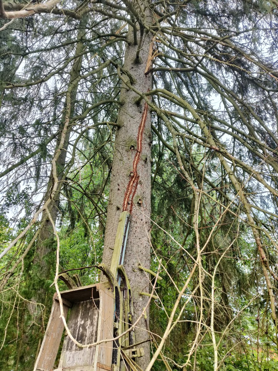 Mikäs se siitä on tiensä kynsinyt, sähäkkää menoa on ollut.

#salama