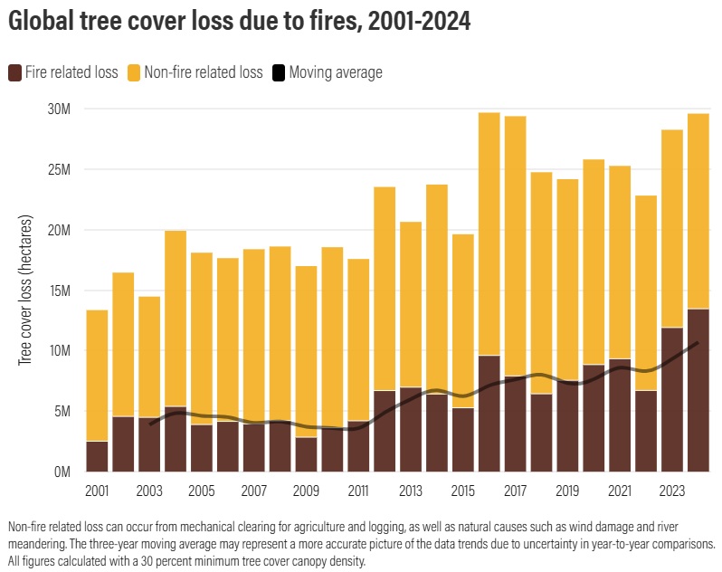 UNESCO World Water Assessment Programme (WWAP) (@unescowwap) on Twitter photo 2024 goes into history with a record 🌳loss due to #forestfires 🔥🏴
Data shows over 1⃣3⃣,5⃣ million hectares of forest was lost - an area the size of Greece (<a href="/WorldResources/">World Resources Institute</a>)
What are some of the water-related consequences? 💧
👉Soil erosion + diminished water regulation 2024 goes into history with a record 🌳loss due to #forestfires 🔥🏴
Data shows over 1⃣3⃣,5⃣ million hectares of forest was lost - an area the size of Greece (<a href="/WorldResources/">World Resources Institute</a>)
What are some of the water-related consequences? 💧
👉Soil erosion + diminished water regulation