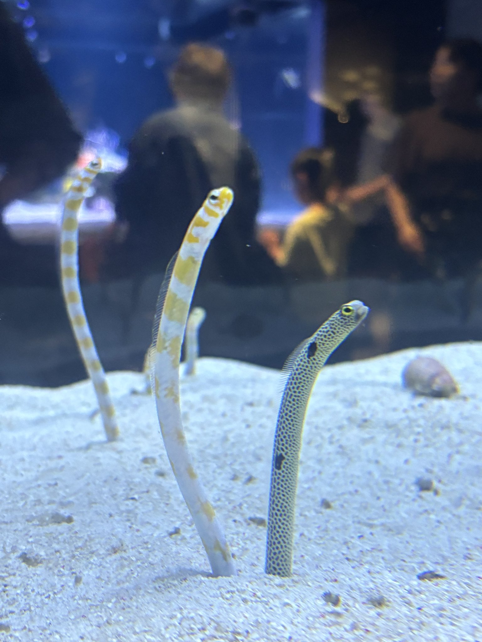 モッコモコページ モコモコ79 (@79Morimori79) / X