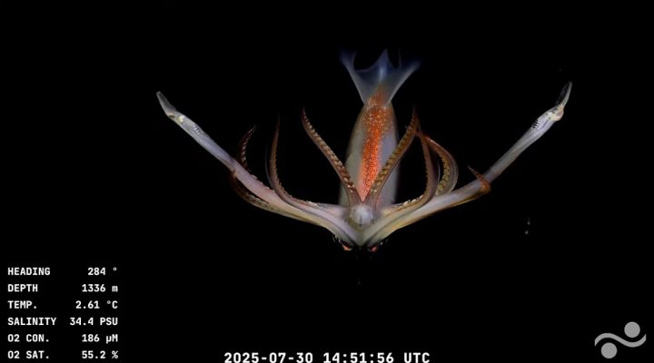 Naranja X (@naranjax) on Twitter photo Entro a ver un video sobre cómo aprovechar mejor los Frascos 
1 minuto después Entro a ver un video sobre cómo aprovechar mejor los Frascos 
1 minuto después