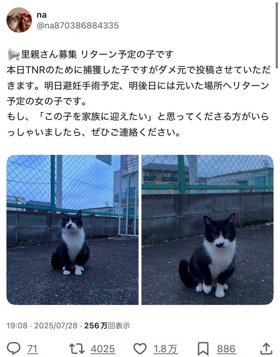 mint様ご購入にてご遠慮下さい。 iPad専用タッチペン 高感度タイプ [STP-A02] | ナカバヤシ株式