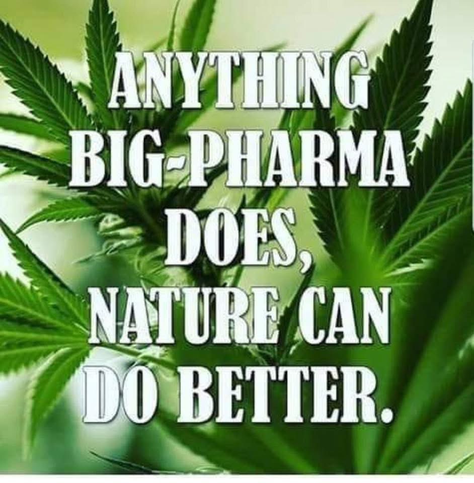 I agree with this!  Who else is with me!?!?!? #Cannabis #LegalizeIt #CannabisCommunity #Mmemberville