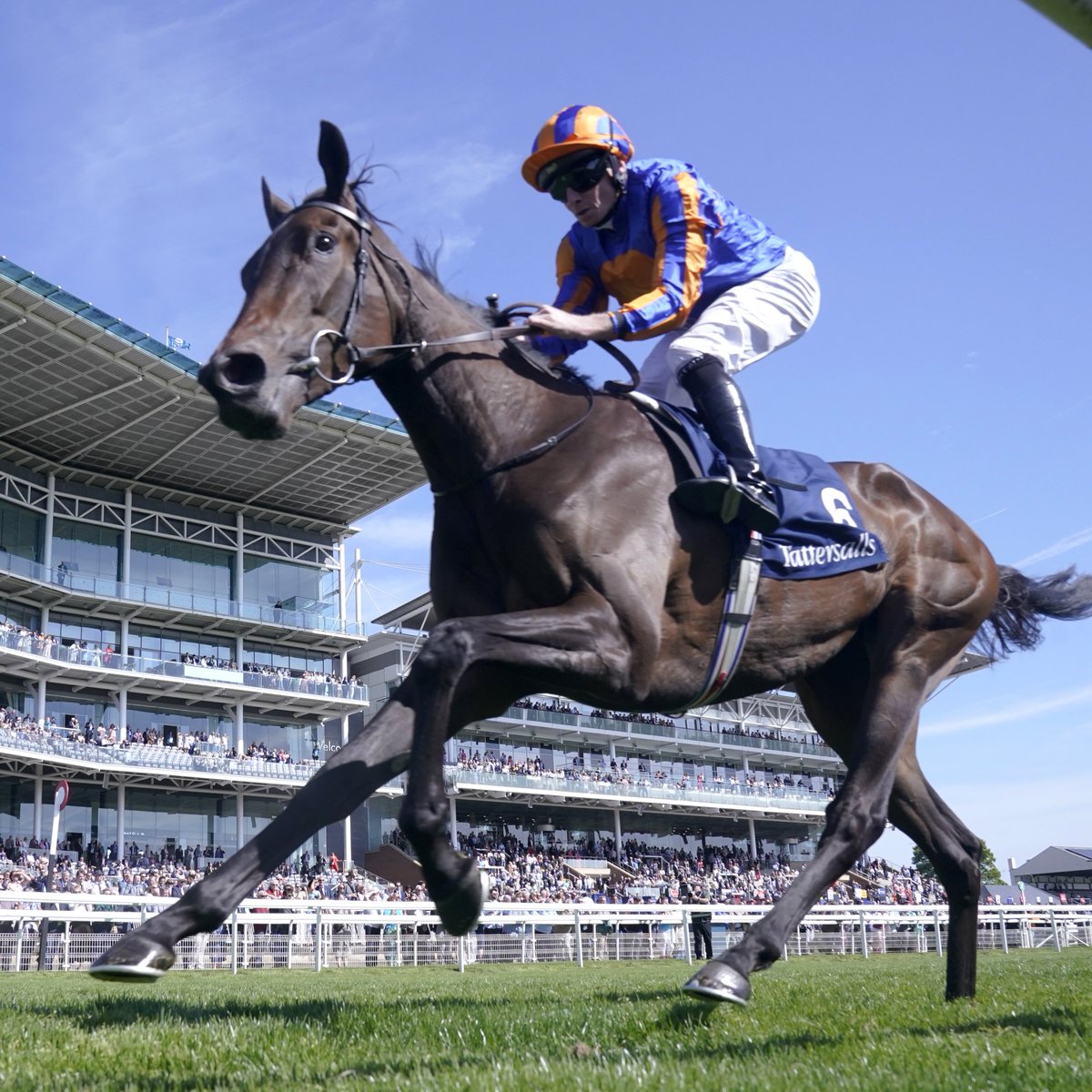 AtTheRaces's tweet photo. WHIRL WINS THE NASSAU STAKES! 🏆 https://t.co/BMxHa1kS9B